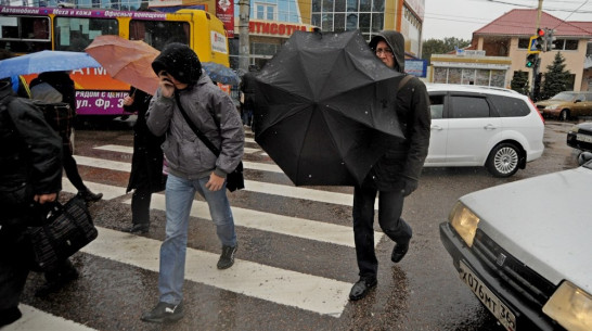 Непогода останется в Воронеже на всю рабочую неделю