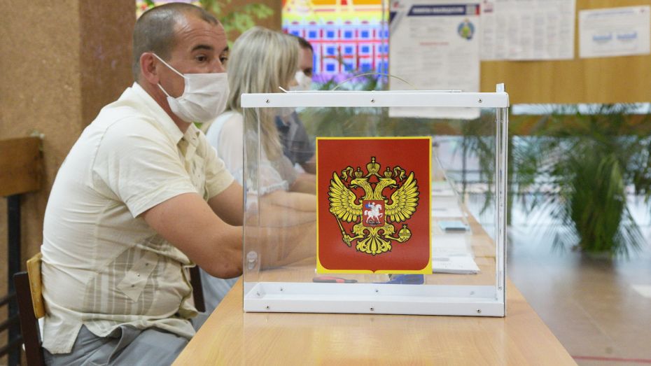 Существенных нарушений в первый день голосования в Воронежской области не выявили