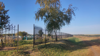 В грибановском селе Васильевка активисты заменили изгородь на кладбище