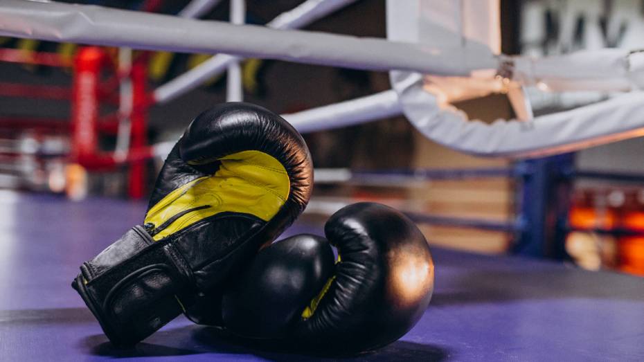 Верхнемамонцы выиграли 2 «золота» на областном турнире по кикбоксингу