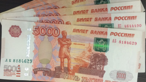 В Воронежской области предпринимателя обвиняют в мошенничестве с субсидиями на 750 тыс рублей
