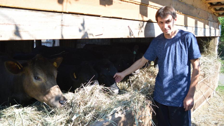 Воробьевские фермеры получили на развитие животноводства 7,5 млн рублей