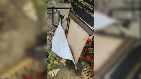 На кладбище в микрорайоне Воронежа осквернили 3 могилы
