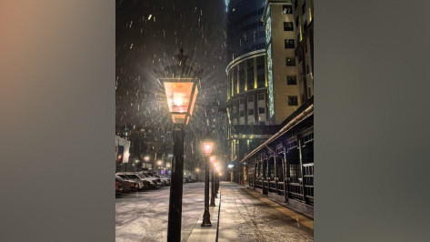 В Воронеж пришел первый с начала зимы снегопад: фото и видео