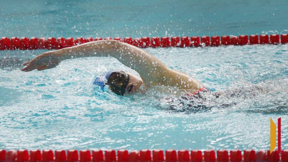 Звание «Мастер спорта РФ» присвоили 14 жителям Воронежской области