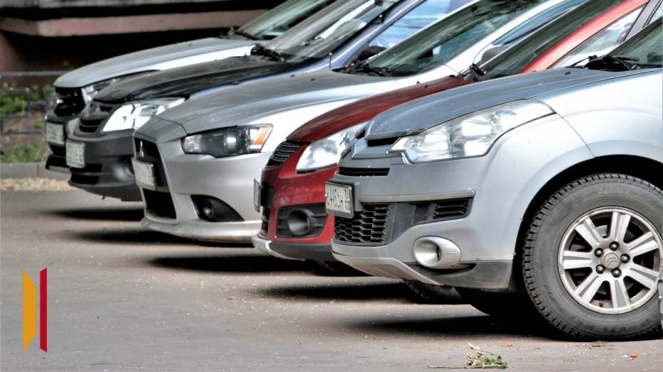 В Терновке проведут «Автопати»