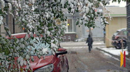 Итоги недели. Что важного произошло в Воронежской области с 8 по 14 декабря