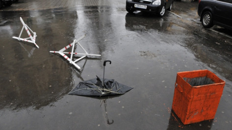 Желтый уровень опасности из-за сильного ветра объявили в Воронежской области