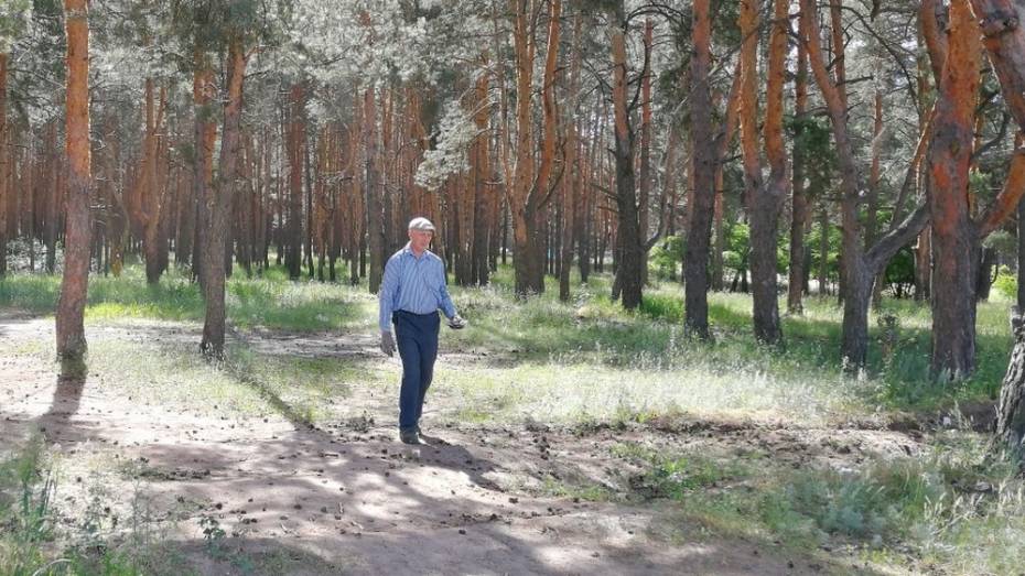 Павловский пенсионер очистил сосновый бор от 800 кг мусора