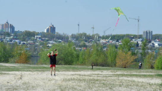 Воронежские школьники запустят в небо самодельных воздушных змеев