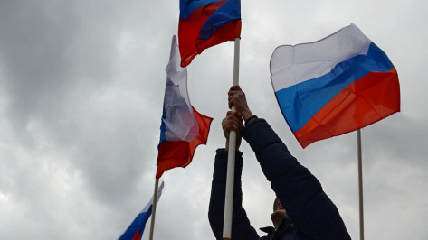 Больше 30 патриотических мероприятий проведут в Воронеже в День Конституции