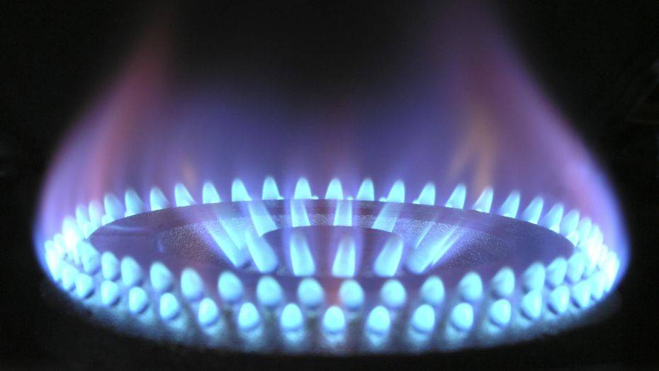 С сентября воронежцы заключили более 80 тыс договоров на техобслуживание газового оборудования