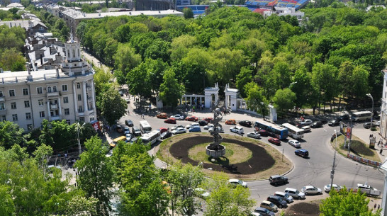 Воронежские общественники предложили сделать пешеходной улицу Мира 