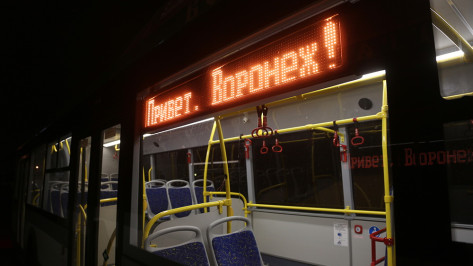 Воронеж сэкономил полмиллиарда рублей на лизинговых автобусах 