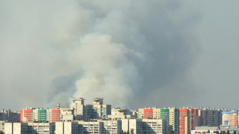В Воронеже загорелась лесная подстилка во время пожара в Подгорном