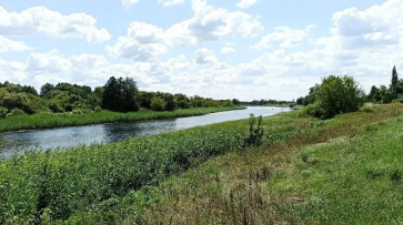 В Воронежской области спрогнозировали глобальное потепление