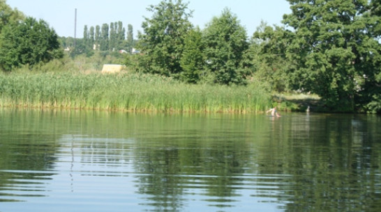 В реке Ворона обнаружено тело жителя Борисоглебска