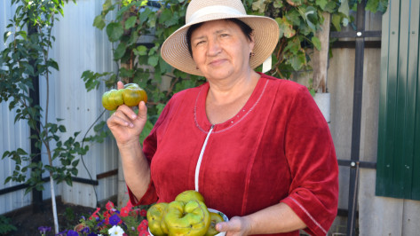 Момордика и томат-кольцо. Что вырастили воронежские огородники в 2020 году