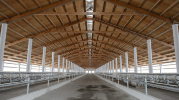 Молочный комплекс на 3,5 тыс голов дойного стада построят в Аннинском районе 