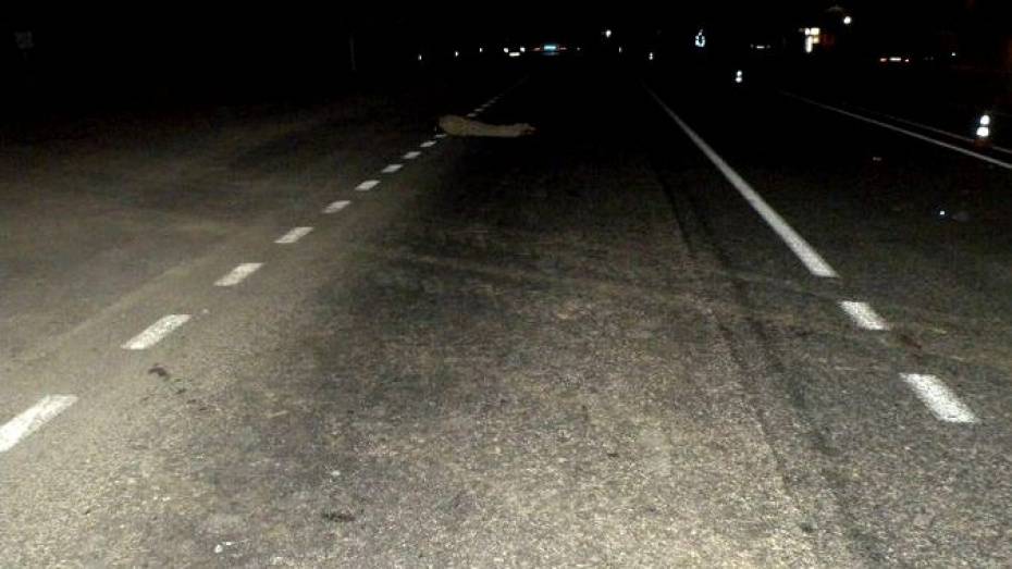 Пешеход погиб под колесами Volvo в Воронежской области