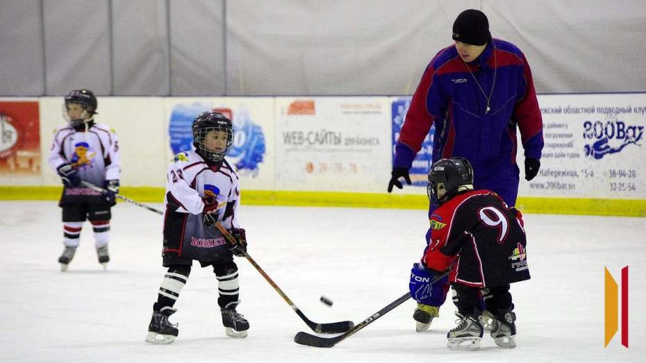 В райцентре Воронежской области построят ледовую арену