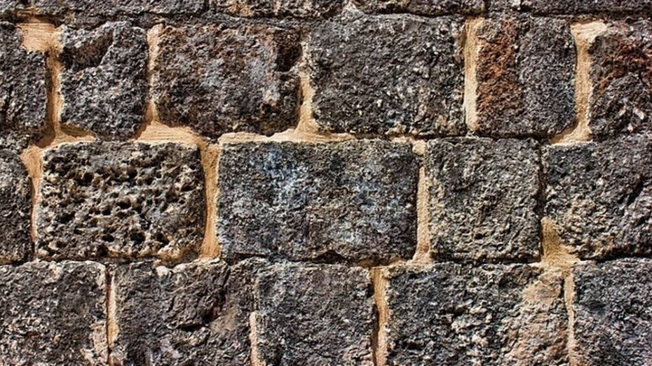 В Австрии построят антимигрантскую стену