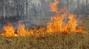 В Воронежской области установился наивысший класс пожарной опасности