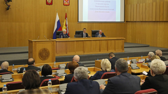 Юрий Матузов: «Координация усилий муниципалитетов укрепит законотворческий процесс в Воронежской области»