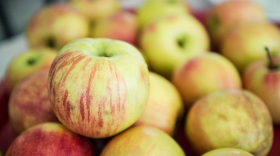 Воронежская область вошла в число лидеров по производству плодово-ягодной продукции