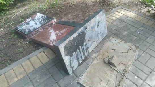 Стало известно, кто повредил мемориальный комплекс в Воронежской области