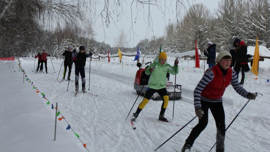 В Павловске 7 февраля отметят День зимних видов спорта