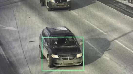 В Воронежской области водитель Dodge оплатила 43 штрафа прямо на месте задержания