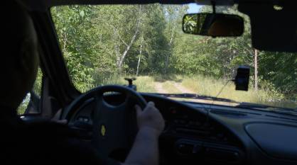 Воронежцам планируют запретить въезд в леса с 4 июля