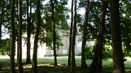 Воронежский художник оценил «монастырь искусства» Михаила Шемякина во Франции