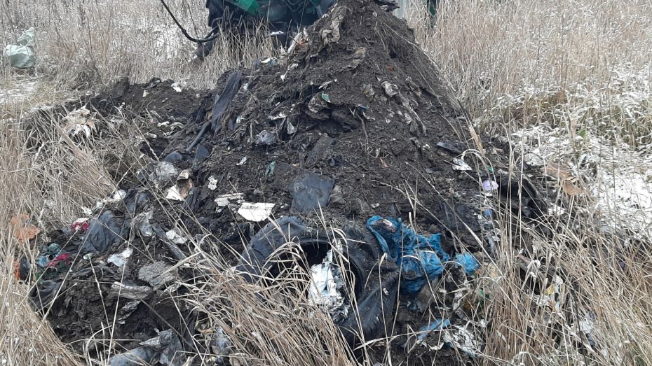Незаконная свалка нанесла ущерб почвам на 580 млн рублей в Воронежской области