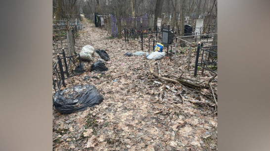 Воронежцы пожаловались на замусоренное Коминтерновское кладбище