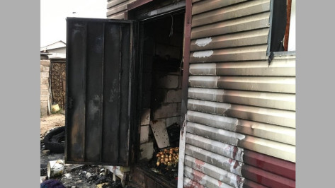 В Новой Усмани пожарные спасли из горящего дома 2 женщин