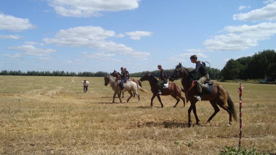 В репьевском селе Краснолипье открыли прием заявок на конные бега 