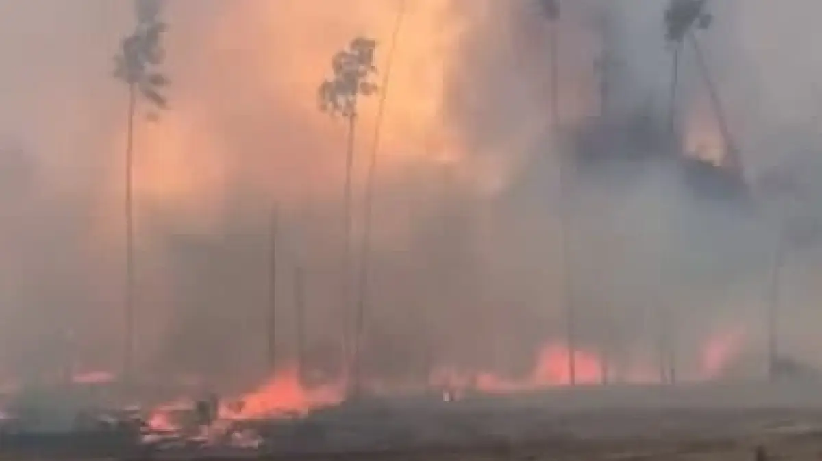 Пожар в воронеже. Пожар лес воронеж новоподклетное. Ямное воронежская область пожар. Лесные пожары в воронеже 2010. Ямное воронежская область пожар.