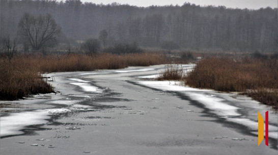 В Воронежской области в реке Усманка утонул 9-летний ребенок