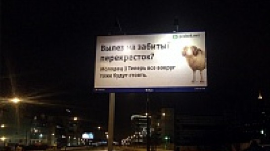 В Воронеже повесили 52 баннера против «баранов» на дорогах