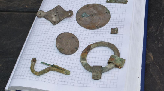 В Воробьевском районе студенты-археологи обнаружили аланское захоронение