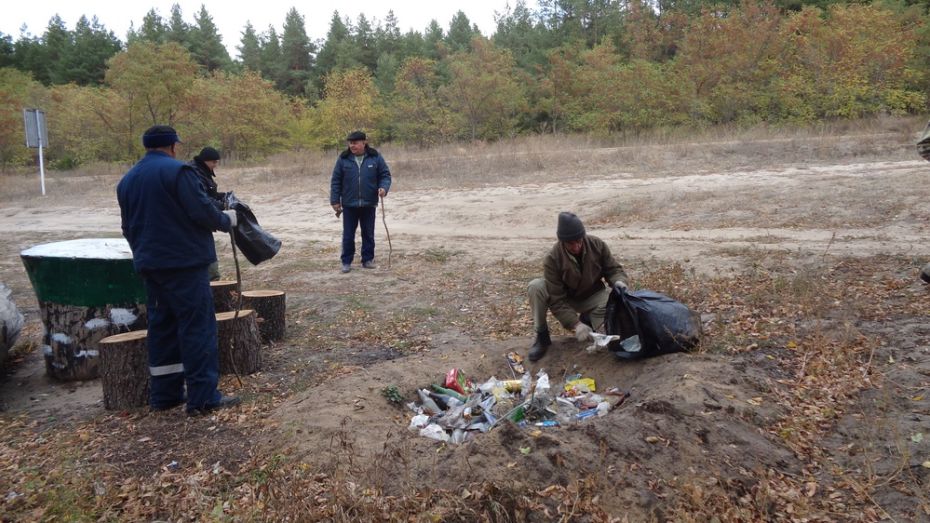Богучарцы очистили от мусора около 5 га леса в рамках всероссийской акции «Живи, лес!»