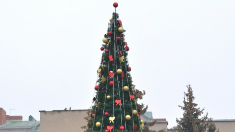 Новогодние елки в районах Воронежа откроются с 25 декабря