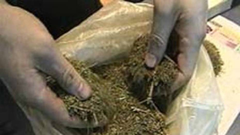 У 50-летнего жителя Кантемировского района изъяли более 2 килограммов марихуаны