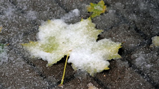 Воронежцы поделились кадрами первого снега