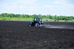 Воронежская область направит на поддержку аграриев 11,4 млрд рублей в 2021 году
