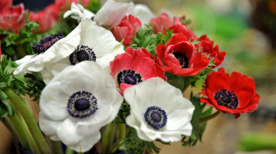 Губернатор и спикер облдумы поздравили женщин Воронежской области