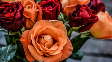 Отказ от цветов и вина обернулся для сотрудницы экспертного бюро в Воронеже потерей 1 млн рублей