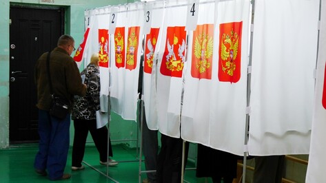 В Воронежской области более 15% избирателей пришли на выборы к полудню